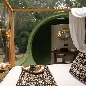 Suite con Cama King